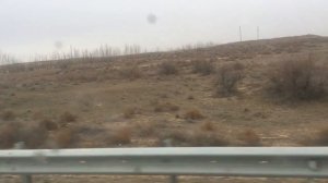 Поездка в Астрахань
