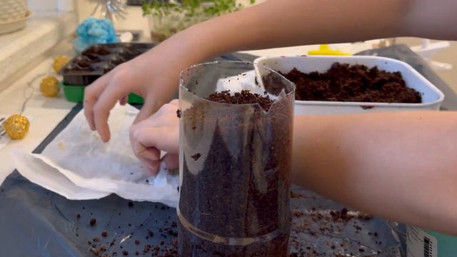 Как вырастить лимон из косточки смотреть онлайн