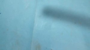 И подумать не мог! Нестандартное использование пластиковых бутылок