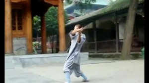 Шаолинь кунфу (Shaolin kung-fu)