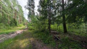 Литургия Иоанна Златоустного учебная  Знаменный Старообрядческий Распев