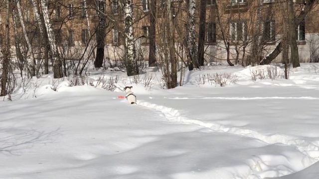 По снегу смотреть онлайн