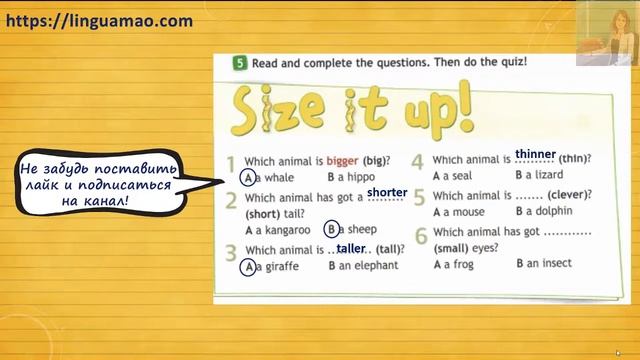 Spotlight 4 класс Workbook страница 33 номер 5 ГДЗ решебник смотреть онлайн