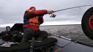 джиг и отводной поводок.Окунь на отводной поводок. Кубенское озеро.