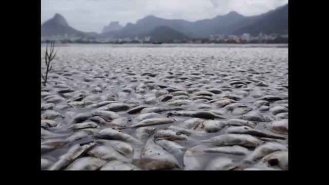 WATCH NOW IN A NUTSHELL if this doesn't scare you into reality, I don't know what will !!! смотреть онлайн