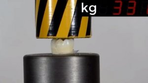 Зуб против пресс. Эксперимент #2023 #2022 #топ2020 #shortvideo #shorts #short испытание