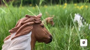 Служанка в замке на самом деле королева ? Шляйх клип/ лошади Шляйх