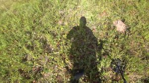 НАШЁЛ БАНОЧКУ А В НЕЙ ЧТО ТО ШУРШИТ! -НАДО ВСКРЫВАТЬ! Коп с мд Gold Hunter Frogman B75