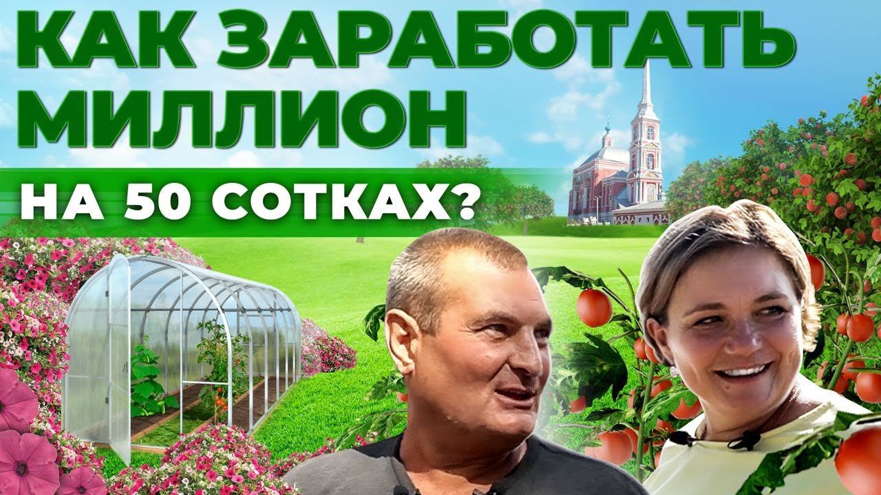 Теплица на МИЛЛИОН! | Как заработать на тепличном Бизнесе | Успешное Фермерство | Андрей Даниленко