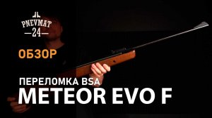 Пневматическая винтовка BSA Meteor EVO F (дерево)