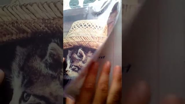 Как сделать читательский дневник смотреть онлайн