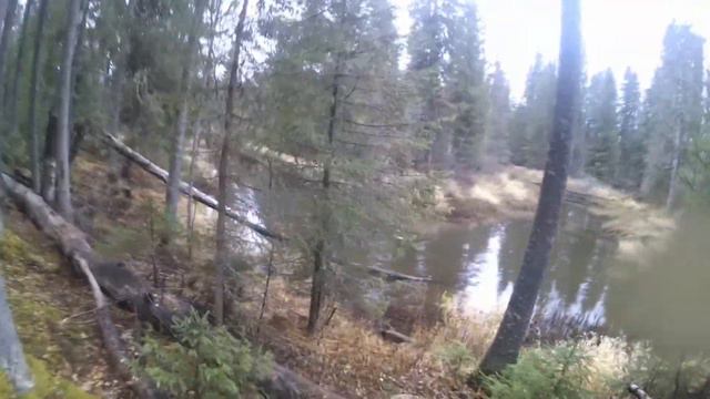 Ловля щуки осенью на спиннинг. Осень 2021... смотреть онлайн