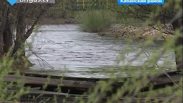 Рыбоводы Бурятии бьют тревогу: Через 10 лет байкальского омуля может не стать смотреть онлайн