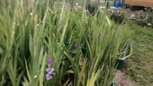 обзор 8м грядок, на 25 сентября смотреть онлайн