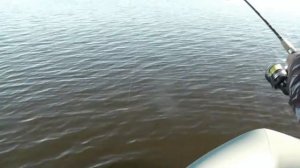 РЫБАЛКА  на МОЛОГЕ! Август  2015г