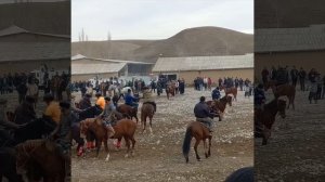 Бузкаши Тчк 🇹🇯🐎 #tajikistan #душанбе #таджикистан #казахстан #uzbekistan #точикистон #кулоб #ош