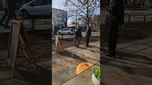 подготовка почвы для посадки газонной травы 😀