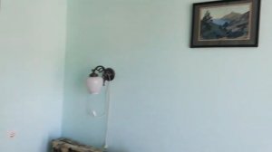 Крым.Коктебель.ТОСК Приморье.