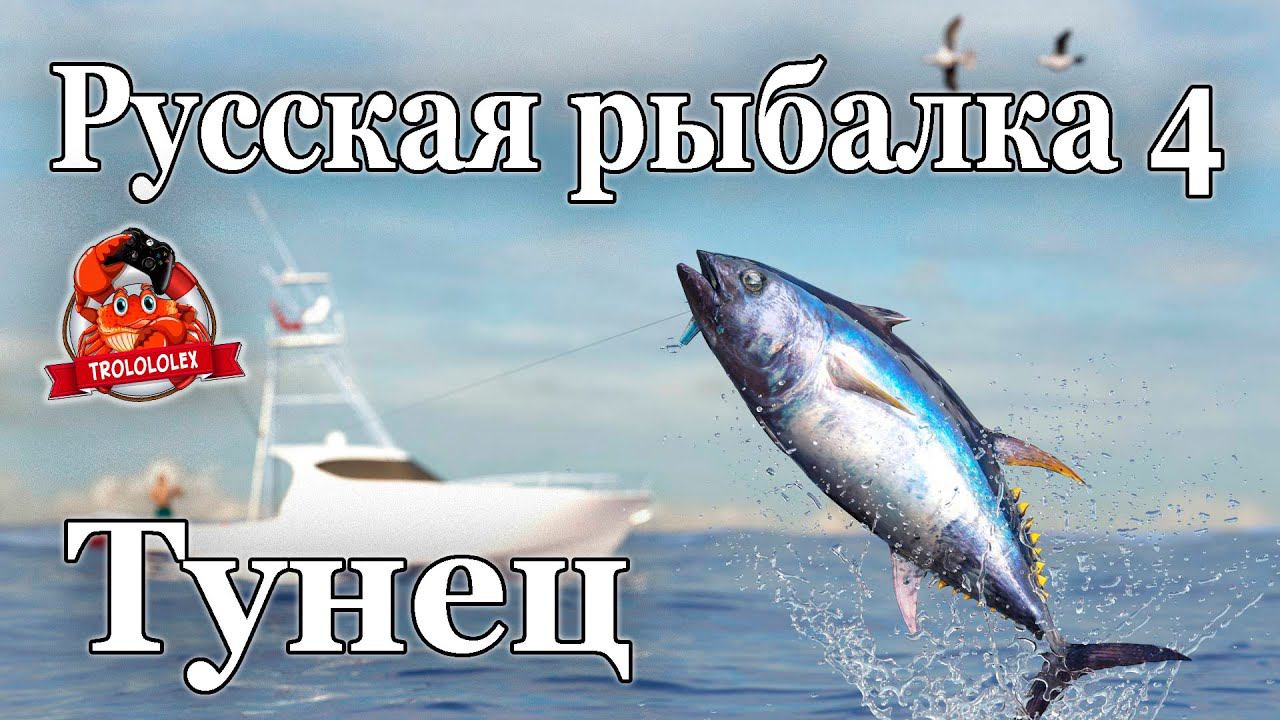 Русская рыбалка 4 Тунец и акула гренландская смотреть онлайн
