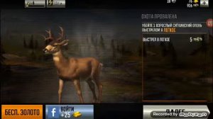 Обзор игры DEER HUNTER 2017
