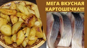 Картошка в духовке | Со сметанным соусом