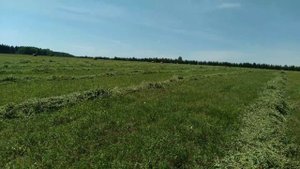 жатка Жвн на трактор МТЗ в работе.#трактор #farming #сенокос #жатка #мтз82