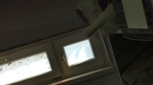 Голуби Харлашина 5 ая часть . Продолжение экскурсии по самому большому питомнику в России!!#pigeons