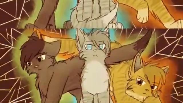 Знак трех коты воители