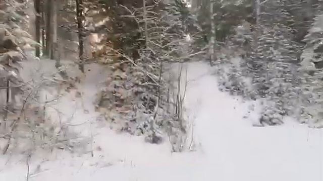 Стелс капитан и -35 градусов едем с рыбалки решили проверить едет в горку или нет ;) смотреть онлайн