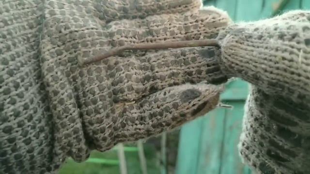 Капитальный ремонт летнего душа. Ч. 1. - Демонтаж. смотреть онлайн