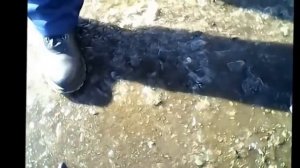 Нужны ли документы на самоделку,минитрактор,квадроцикл,багги  (ответ полицейского)