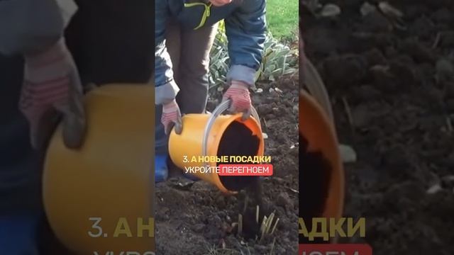 ✅ ЦВЕТОВОДЫ, обязательно сделайте это в ноябре! смотреть онлайн