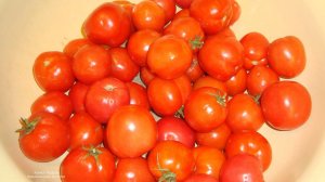 ТОМАТ САНЬКА - УРОЖАЙНЫЙ И НЕПРИХОТЛИВЫЙ