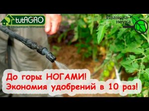 КАК СЭКОНОМИТЬ НА УДОБРЕНИЯХ В 10 РАЗ? Да ЛЕГКО! Метод ДО ГОРЫ НОГАМИ.