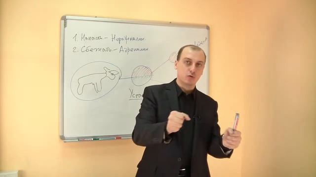 13. Физиология эмоций