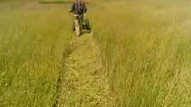 Роторная косилка к мотоблоку зубр 29052011.mp4 смотреть онлайн