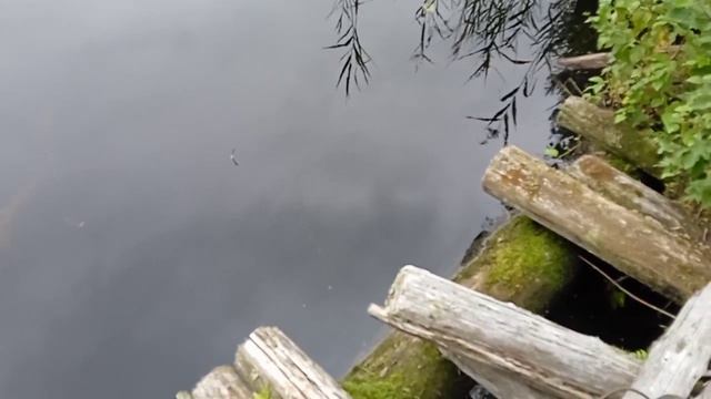 Рыбалка на дикой Ламбушке смотреть онлайн