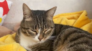 132 Из РК в РФ. Переезд в Белгород, Краснодар  Рассматривали…Ялуторовск , мы в Сибири