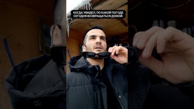 когда надоели суровые метели