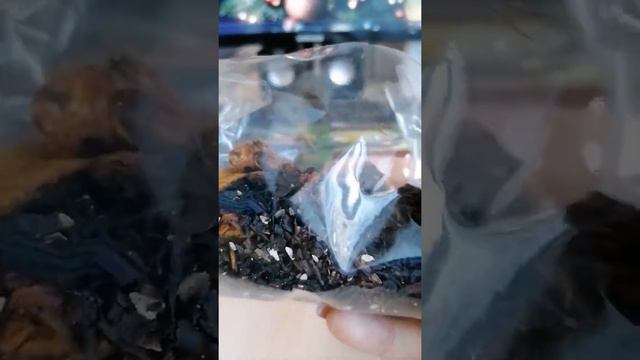 ЧАЙ ЧЁРНЫЙ С ЛОМТИКАМИ АНАНАСА, КОКОСОМ И СЕМЕНА ЧИА #блогер#ютуб#фаберлик#faberlic#чайчёрный#обзор