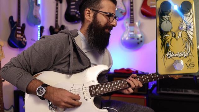 BLACKBIRD By VS AUDIO EFFECTS! BlackFace Vs BrownFace Vintage Amp Tones! Small Business Tuesday смотреть онлайн