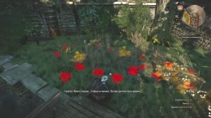 The Witcher 3: Wild Hunt - Роща Фрейи № 71