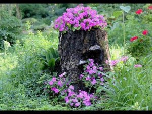 ОРИГИНАЛЬНЫЕ клумбы ИЗ ПНЕЙ И БРЕВЕН