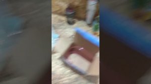 Китайский карбюратор PWK на мотоцикл ИЖ Планета