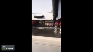 Рельефно-шлифовальный станок