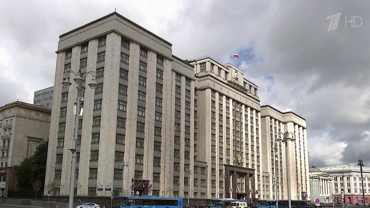 Государственная Дума во втором и третьем чтении приняла законопроект о параллельном импорте