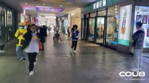 СМЕШНЫЕ КОШКИ. КОРОТКИЕ ВИДЕО НАРЕЗКИ #Shorts (#23)