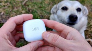 QCY T13 ANC ? ОБНОВЛЕННЫЙ ХИТ | НЕДОРОГИЕ НАУШНИКИ с АКТИВНЫМ ШУМОПОДАВЛЕНИЕМ ANC !