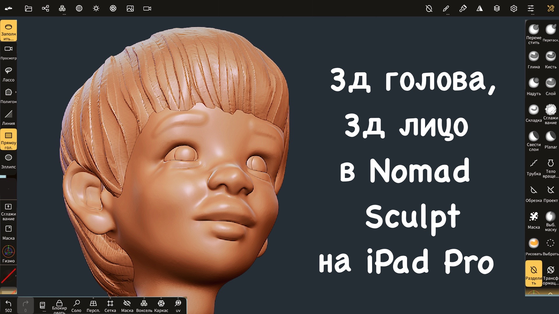 3д голова, 3д лицо в Nomad Sculpt на iPad Pro