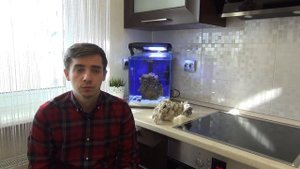 Бюджетный (Нано Риф) морской аквариум, Живые камни-Азотистый цикл Часть 3